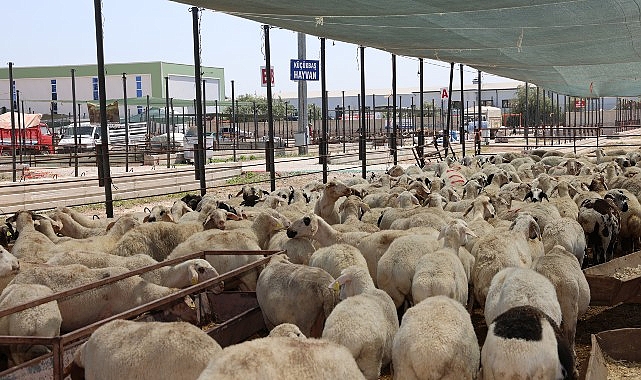 Selçuklu Belediyesi vatandaşların Kurban Bayramı’nı rahat ve huzurlu bir şekilde geçirmesi için tüm hazırlıkları tamamladı