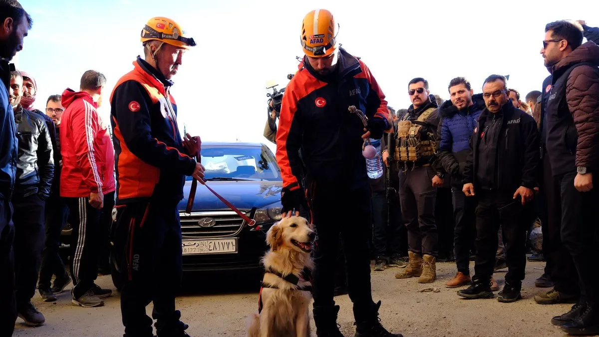 AFAD, Sednaya Hapishanesi’nde arama çalışmalarına başladı